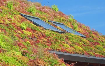 Swaffham Bulbeck living roof systems